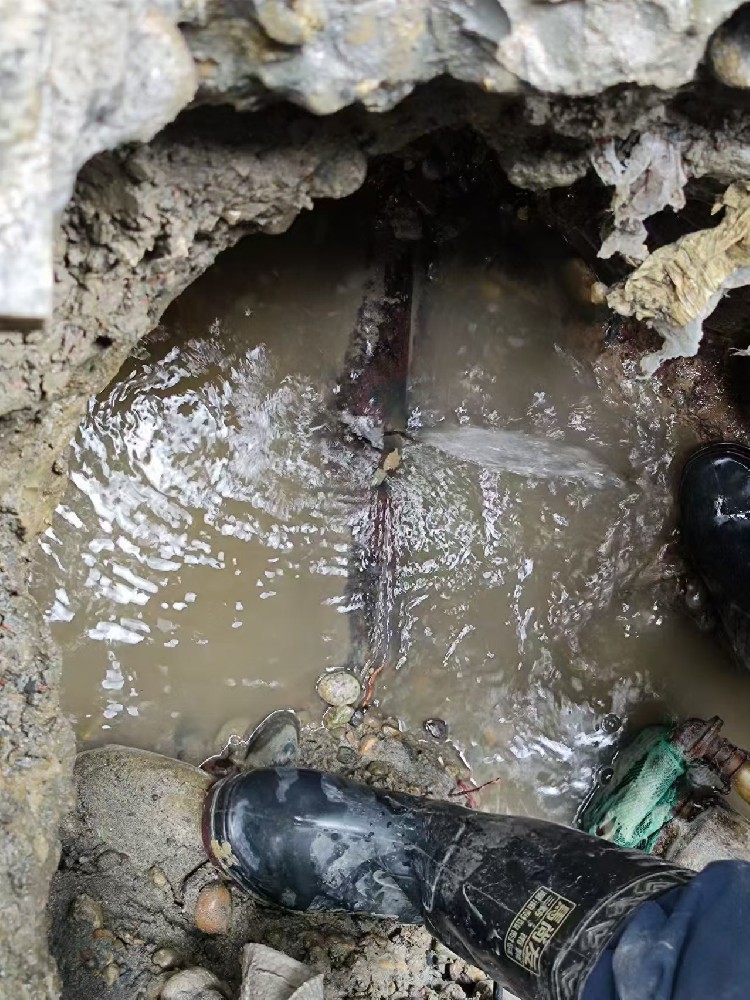 东河区本地服务：小区水管漏水检测维修